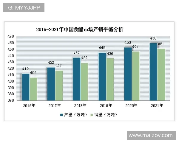杭州羽毛球队的控制策略与发展前景深度解析 杭州羽毛球队的控制策略与发展前景深度解析